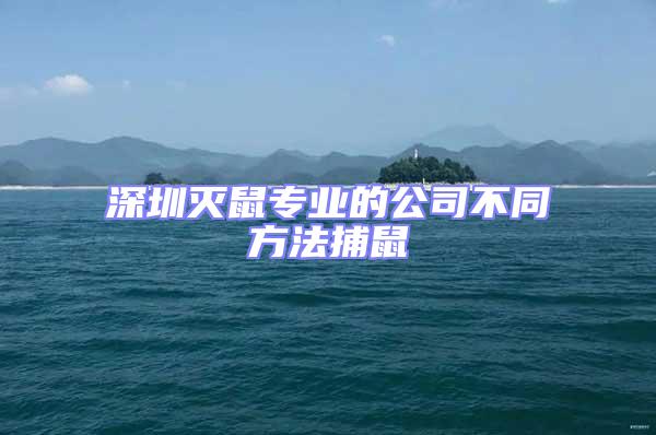 深圳滅鼠專(zhuān)業(yè)的公司不同方法捕鼠
