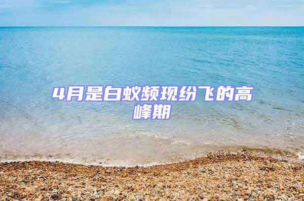 4月是白蟻頻現(xiàn)紛飛的高峰期