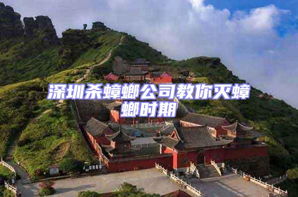 深圳殺蟑螂公司教你滅蟑螂時(shí)期