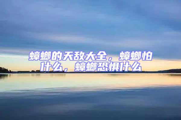 蟑螂的天敵大全,蟑螂怕什么,蟑螂恐懼什么