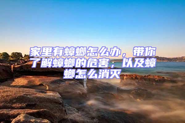 家里有蟑螂怎么辦,帶你了解蟑螂的危害,以及蟑螂怎么消滅