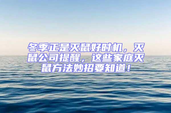 冬季正是滅鼠好時機,滅鼠公司提醒,這些家庭滅鼠方法妙招要知道!