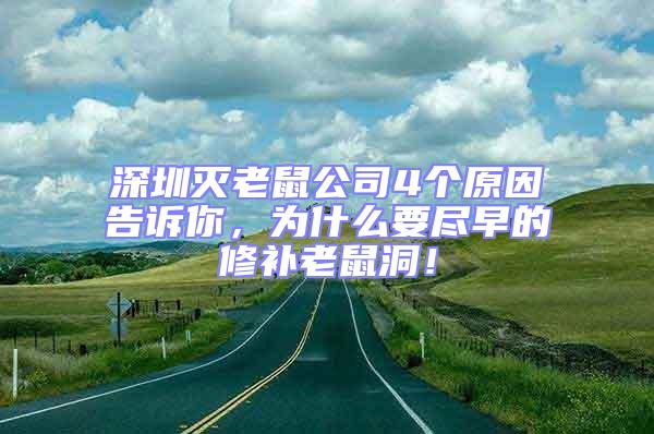 深圳滅老鼠公司4個原因告訴你,為什么要盡早的修補老鼠洞!