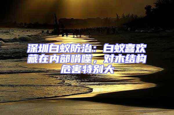 深圳白蟻防治:白蟻喜歡藏在內部啃噬,對木結構危害特別大