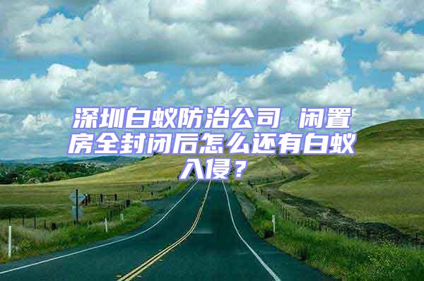 深圳白蟻防治公司 閑置房全封閉后怎么還有白蟻入侵?