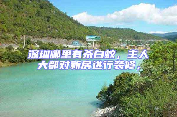 深圳哪里有殺白蟻,主人大都對新房進行裝修,