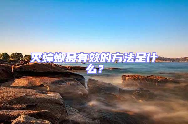 滅蟑螂最有效的方法是什么?