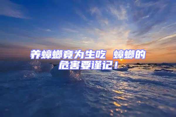 養蟑螂竟為生吃 蟑螂的危害要謹記!