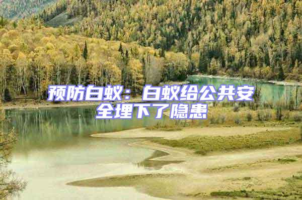 預防白蟻:白蟻給公共安全埋下了隱患
