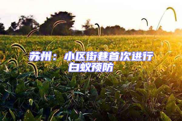 蘇州:小區(qū)街巷首次進行白蟻預防