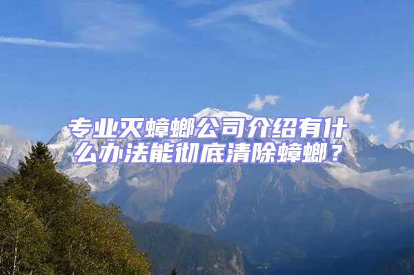 專業滅蟑螂公司介紹有什么辦法能徹底清除蟑螂?