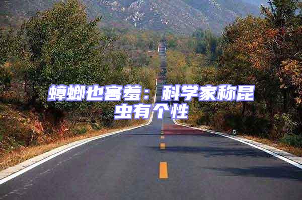 蟑螂也害羞:科學家稱昆蟲有個性