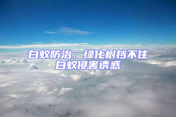 白蟻防治:綠化樹擋不住白蟻侵害誘惑