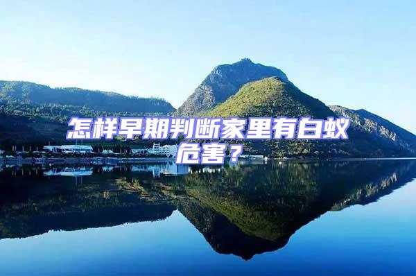 怎樣早期判斷家里有白蟻危害?