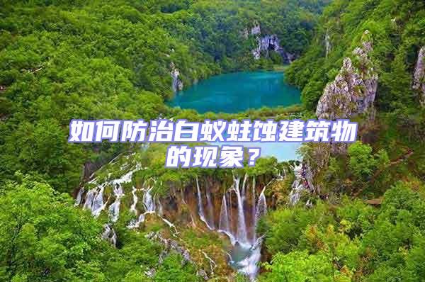 如何防治白蟻蛀蝕建筑物的現象?