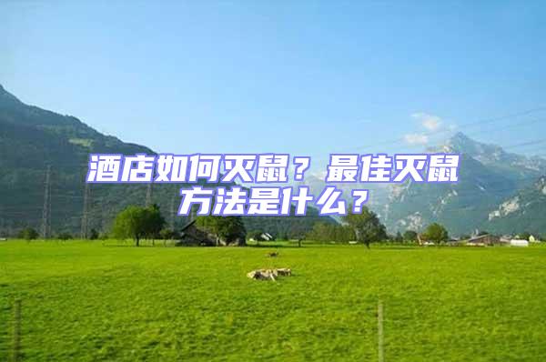 酒店如何滅鼠?最佳滅鼠方法是什么?