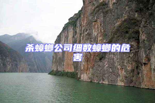 殺蟑螂公司細數(shù)蟑螂的危害