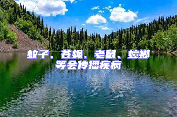 蚊子、蒼蠅、老鼠、蟑螂等會傳播疾病