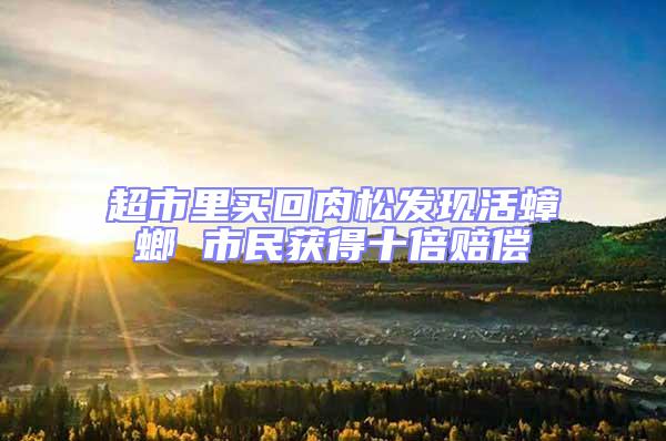 超市里買回肉松發(fā)現活蟑螂 市民獲得十倍賠償