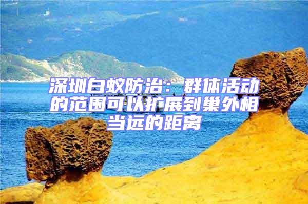深圳白蟻防治:群體活動的范圍可以擴展到巢外相當遠的距離