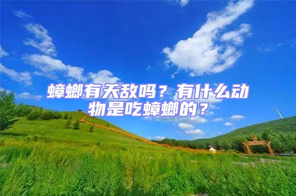 蟑螂有天敵嗎？有什么動(dòng)物是吃蟑螂的？