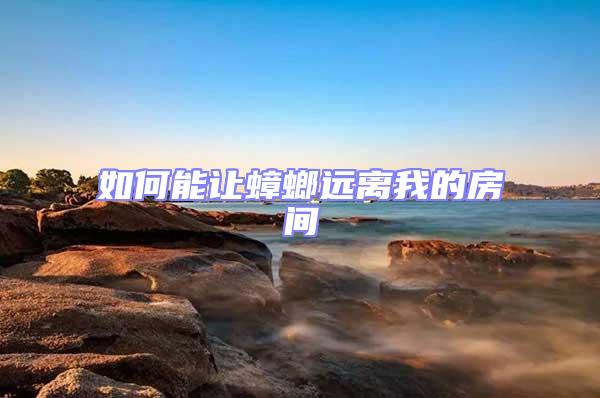 如何能讓蟑螂遠(yuǎn)離我的房間