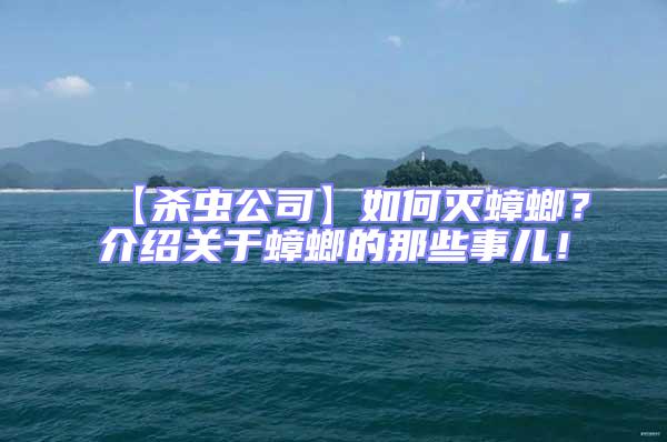 【殺蟲公司】如何滅蟑螂?介紹關于蟑螂的那些事兒!