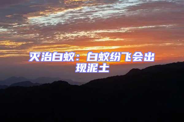 滅治白蟻:白蟻紛飛會出現泥土