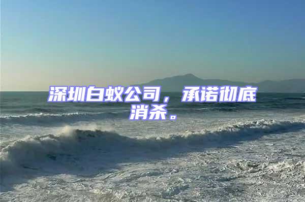 深圳白蟻公司，承諾徹底消殺。