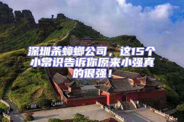 深圳殺蟑螂公司,這15個小常識告訴你原來小強真的很強!