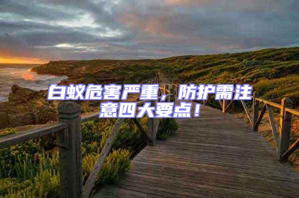 白蟻危害嚴重，防護需注意四大要點！