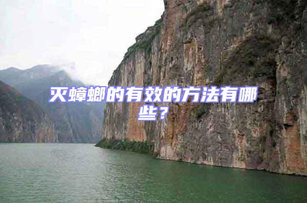 滅蟑螂的有效的方法有哪些?