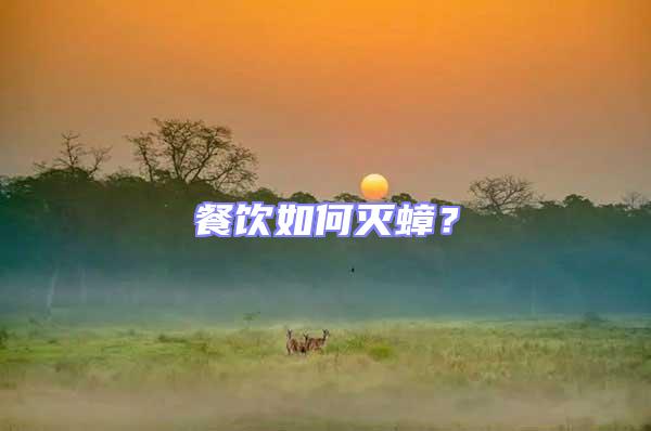 餐飲如何滅蟑?