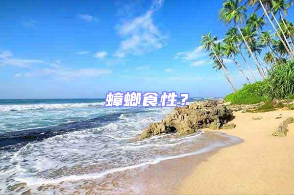 蟑螂食性?