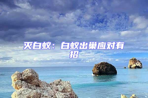 滅白蟻:白蟻出巢應對有招
