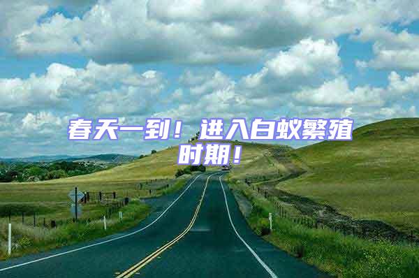 春天一到！進入白蟻繁殖時期！