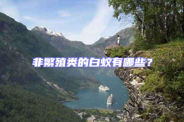 非繁殖類的白蟻有哪些?