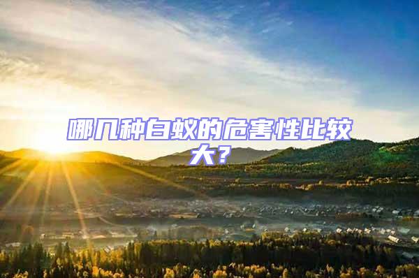 哪幾種白蟻的危害性比較大?