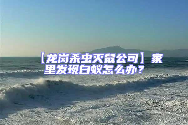 【龍崗殺蟲滅鼠公司】家里發(fā)現(xiàn)白蟻怎么辦?