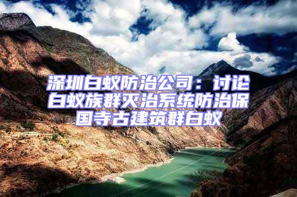 深圳白蟻防治公司:討論白蟻族群滅治系統防治保國寺古建筑群白蟻