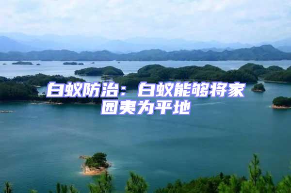 白蟻防治:白蟻能夠將家園夷為平地