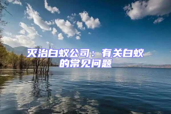 滅治白蟻公司:有關白蟻的常見問題