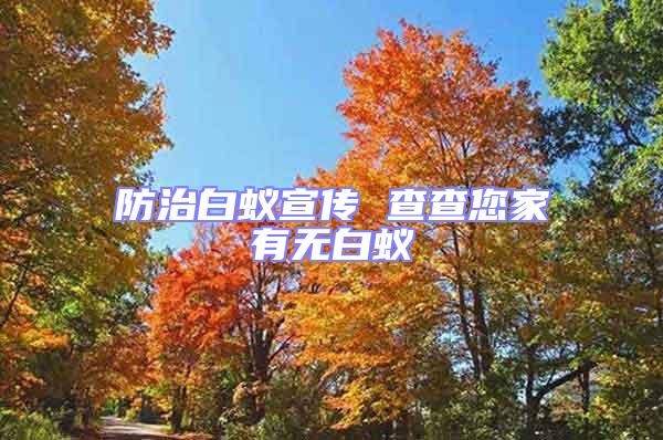 防治白蟻宣傳 查查您家有無(wú)白蟻