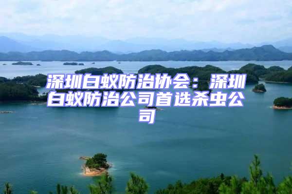 深圳白蟻防治協(xié)會(huì)：深圳白蟻防治公司首選殺蟲(chóng)公司