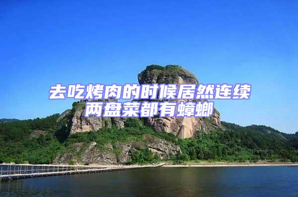 去吃烤肉的時候居然連續(xù)兩盤菜都有蟑螂