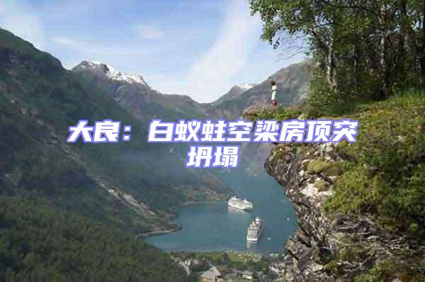 大良:白蟻蛀空梁房頂突坍塌