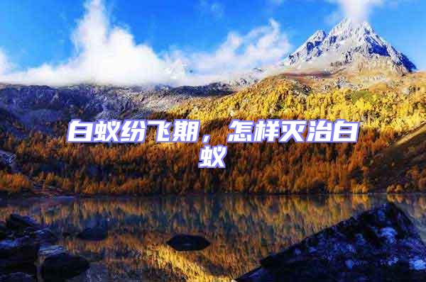 白蟻紛飛期,怎樣滅治白蟻