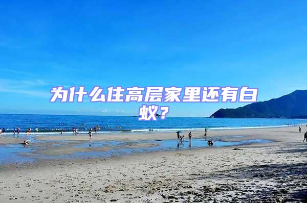 為什么住高層家里還有白蟻?