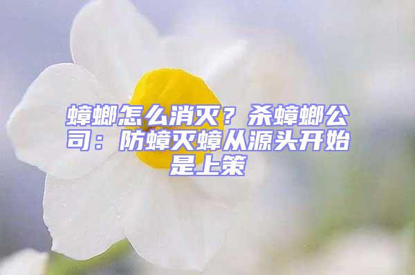 蟑螂怎么消滅?殺蟑螂公司:防蟑滅蟑從源頭開始是上策