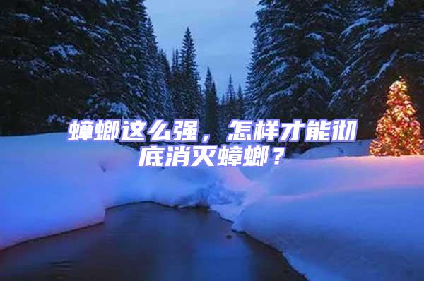 蟑螂這么強(qiáng),怎樣才能徹底消滅蟑螂?
